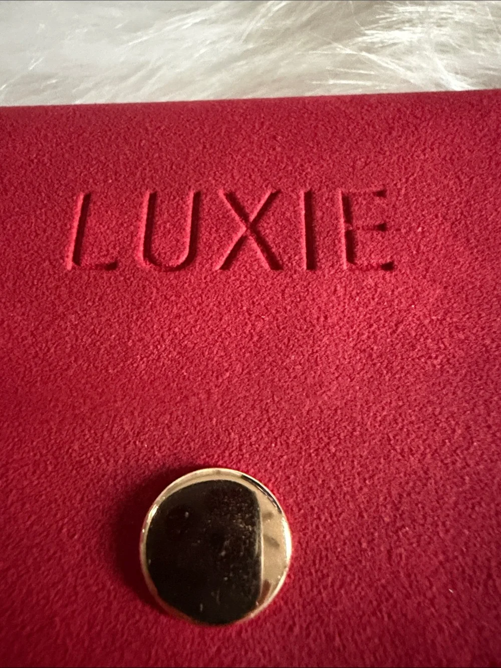 Luxie Red Suede Brush Pouch with Snap Closure